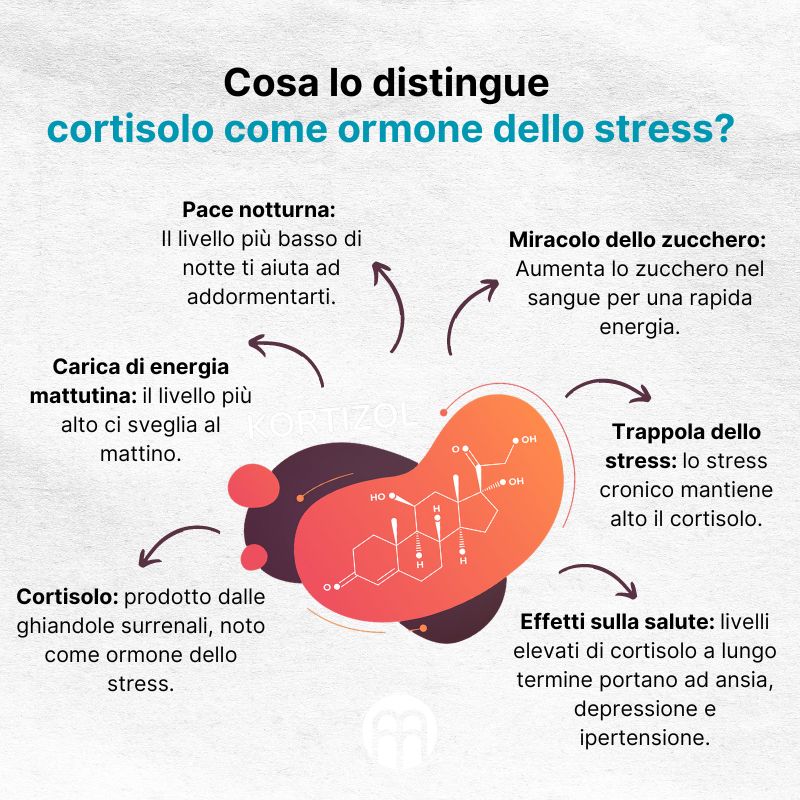 (Italština) Čím se vyznačuje kortizol  jako hormon stresu